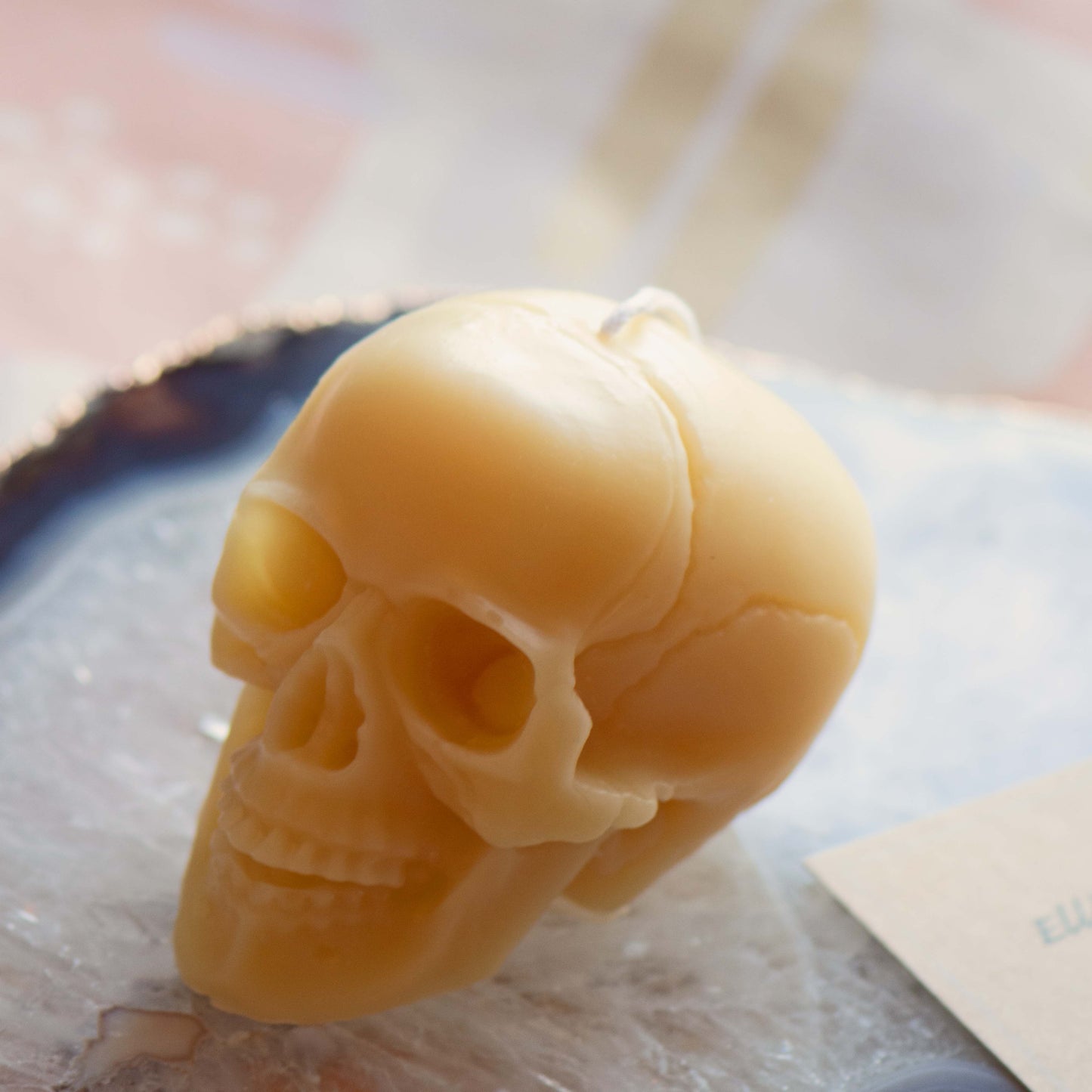 Large Skull Beeswax Candle