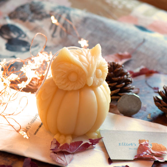 Pumpkin Owl - Pure Beeswax Candle