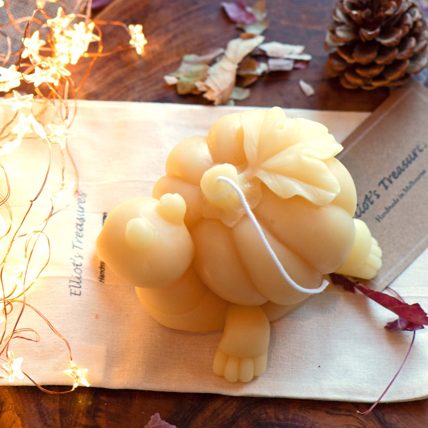 Pumpkin Tortoise - Pure Beeswax Candle