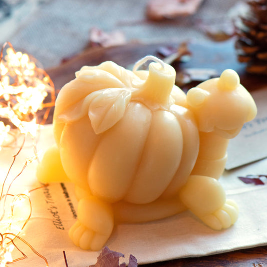 Pumpkin Tortoise - Pure Beeswax Candle