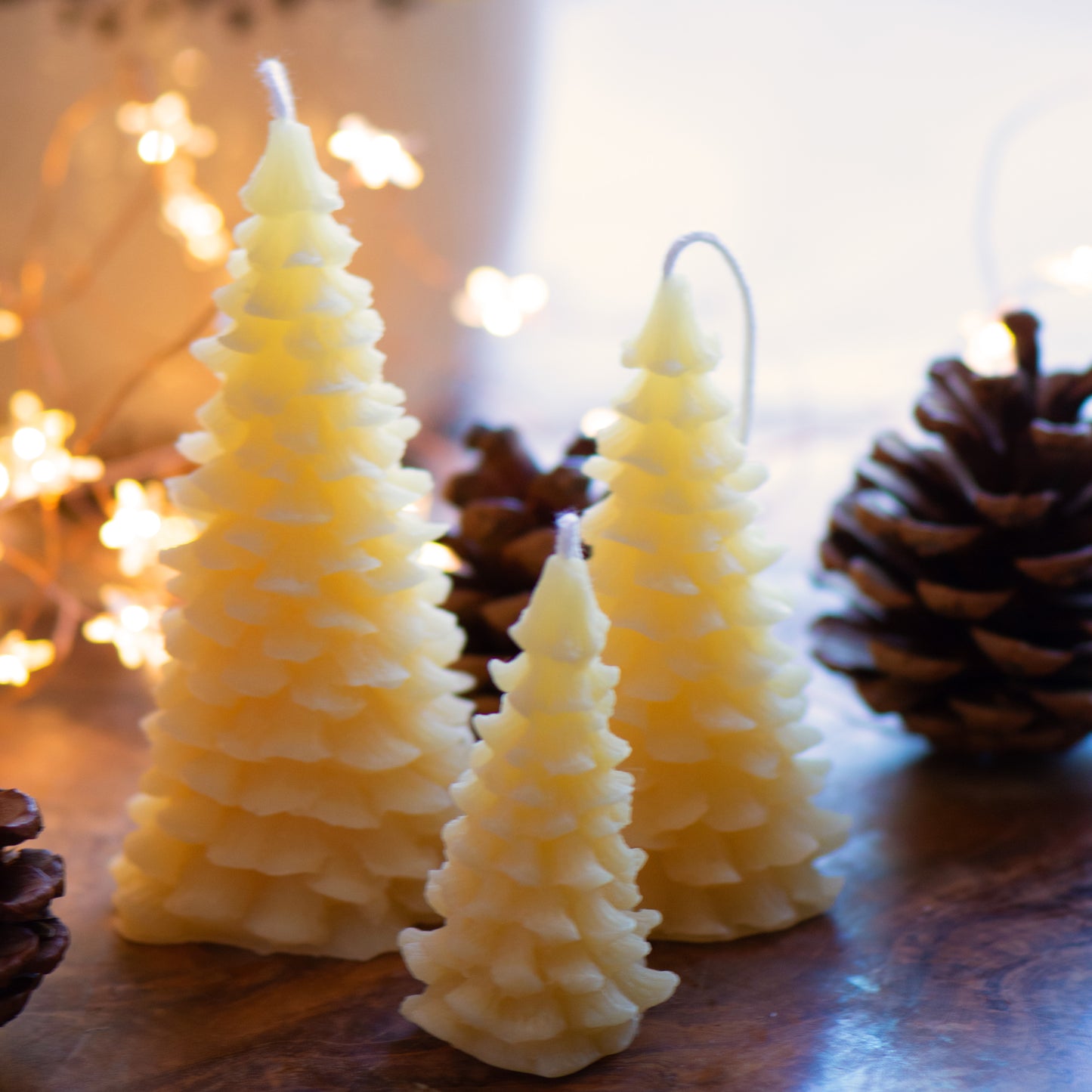 The Christmas Forest - Set of 3 Beeswax Candles