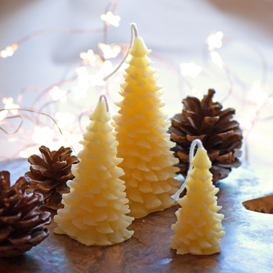 The Christmas Forest - Set of 3 Beeswax Candles