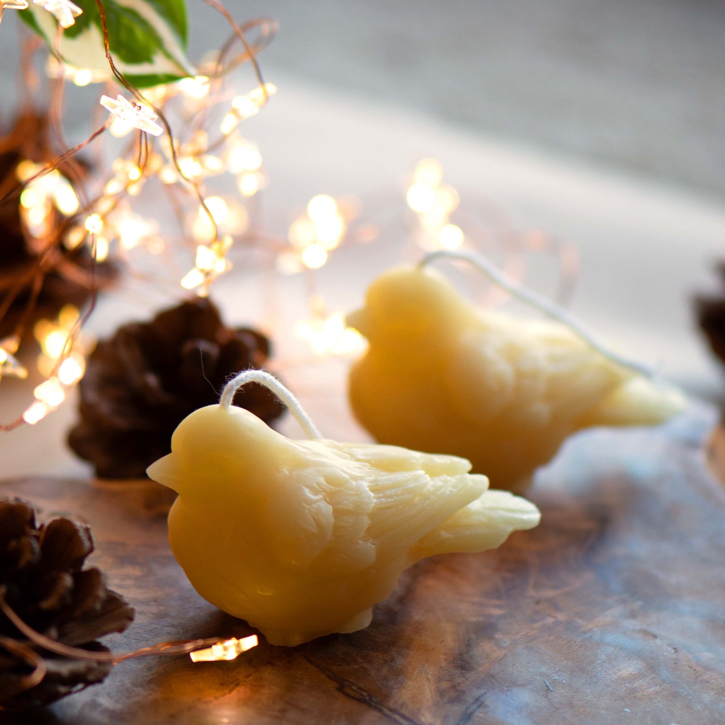 A Lovely Bird Beeswax Candle