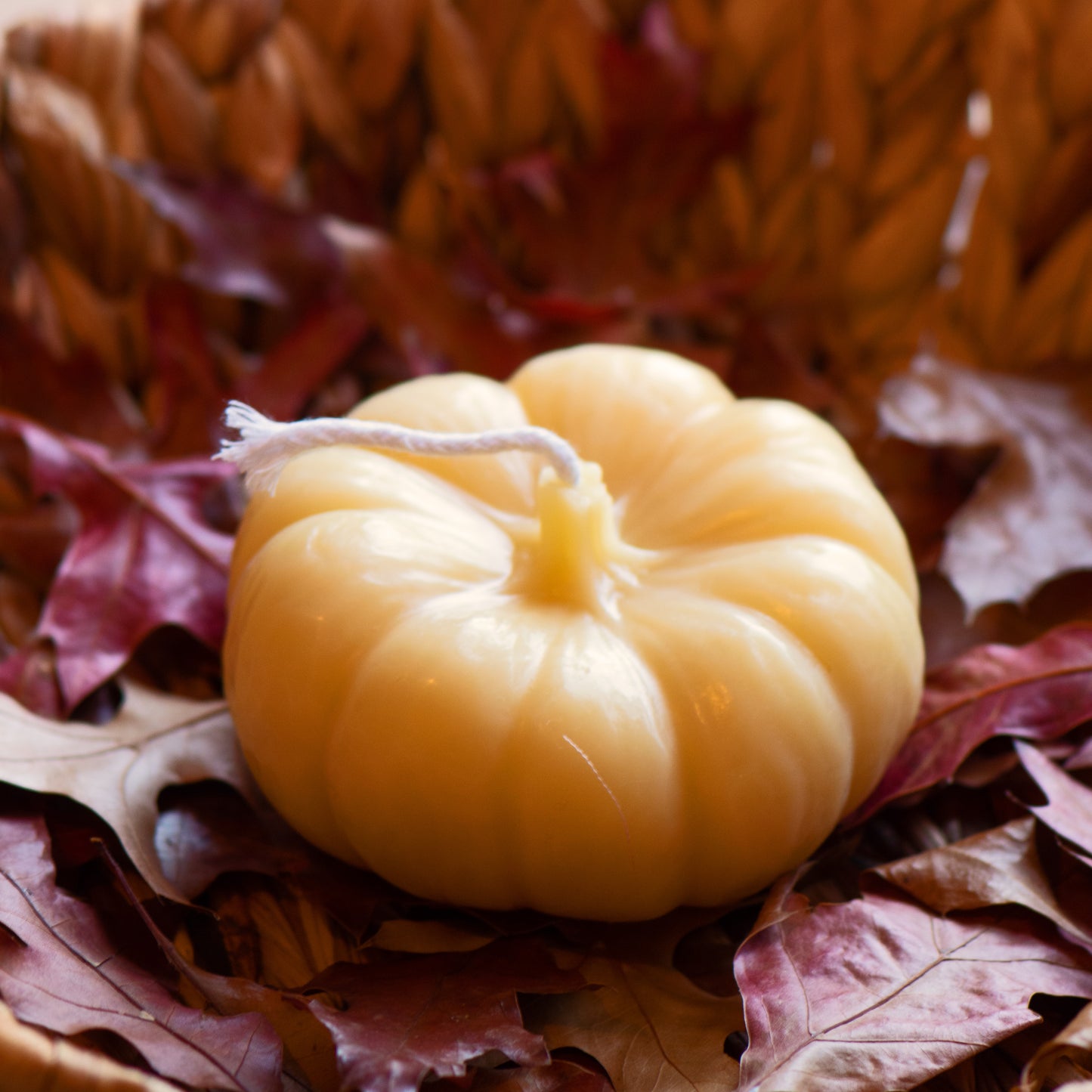 Cinderella Pumpkin - Pure Beeswax Candle